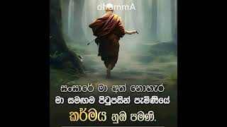 සසර ඔබ තනිව යන ගමනකි ||සෙස්සෝ තාවකාලිකව හමුවෙන්නෝය ||dhammA