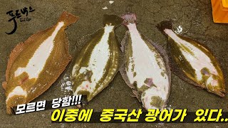 광어는  국산만 있다고?  NO!!!  이거 국산으로 속이면 다 넘어갈 듯  한데 ...