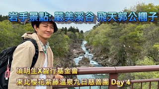 岩手景點│奇葩上菜: 飛天郭公糰子│盛岡城跡公園(岩手公園) 賞櫻│世界文化遺產中尊寺│嚴美溪谷│品嚐前澤牛│夜泊鳴子溫泉大江戶│項明生X智行基金會2023日本東北櫻花紫藤溫泉九日慈善團 Day 4