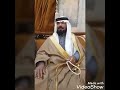 قصة راشد ابو دباس الدوسري