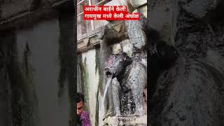 गायमुख तीर्थ तुळजापूर मध्ये केली अराधीन बाई यांनी अंघोळ..#shorts #shortfeed #viral #tuljapur