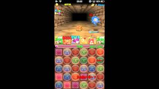 パズドラ「土日ダンジョン　超級」　薔薇戦姫・グレイスヴァルキリー回復PTノーコン攻略