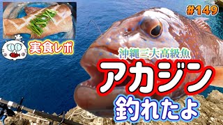 沖縄離島大物狙い磯釣り記録～三大高級魚アカジンを釣って食べる！～