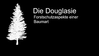 Die Douglasie - Forstschutzaspekte einer Baumart / Le douglas: aspects phytosanitaires