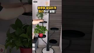 화분을 아직도 바닥에 놔둬?