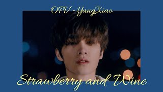 [OPV] Strawberry and Wine | YangXiao