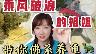 姐姐带你看看她的各种乌龟 | 还有你不知道的龟吗