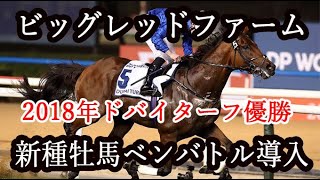 ビッグレッドファームが新種牡馬ベンバトルを導入【競馬】