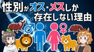 【疑問】性別がオスとメスしかない理由｜男女に分かれたのはなぜ？