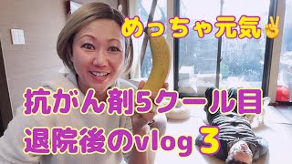 【抗がん剤５】どうなる副作用？AP療法5クール目退院後のvlog〜嘘みたいに元気！