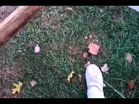Homemade Electric Fence Tester Homemade Electric Fence Tester
