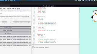 freeCodeCamp: Use a custom CSS Variable