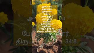 கடவுள் நமக்காக எல்லாவற்றையும் செய்திருக்கிறார் #bibleverse #shorts