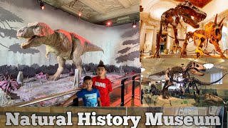 Natural History Museum | London | Uk