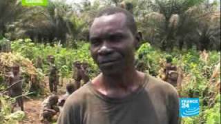 Pygmies: endangered people