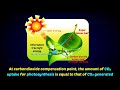 Compensation Point - Photosynthesis and Respiration