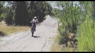 Joaquim Rodrigues a fundo em terras do Alentejo