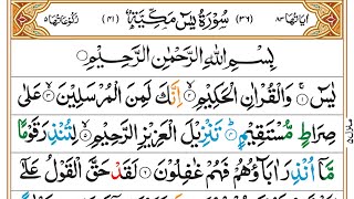 Surah Yaseen | Yasin | Episode 58 | Daily Quran | Tilawat Surah Yasin | Yasin Full Surah