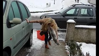 Chica británica se hace viral al resbalar en el hielo afuera de su casa