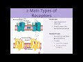 cns pharmacology lecture