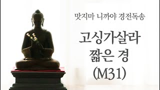 M31.고싱가살라 짧은 경ㅣ맛지마 니까야 서른한 번째 경ㅣ제따와나선원 경전독송