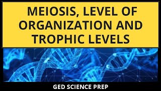 Mastering Biology: Meiosis, Level of Organization, and Trophic Levels | Science GED Prep Guide