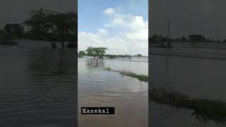 kanekal rood full field with flood water