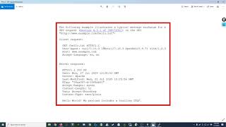 [019] Raw HTTP request using Python