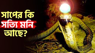 নাগমণি কি সত্যি আছে  দেখুন না হলে অজানা রয়ে যাবে আপনার || Truth Behind The Naagamani!