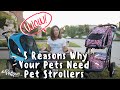 5 Reasons Why Your Pets Need Pet Strollers