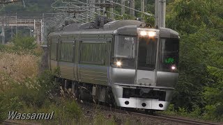 （UHD）鬱蒼とした伊納を行く列車たちの賑わい