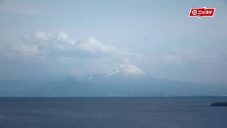 境港サーモンCM 綺麗な海で育ちました篇