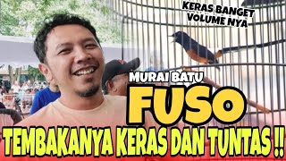 MURAI BATU FUSO ! TEMBAKANYA KERAS DAN TUNTAS 🔥 MUTLAK 4 MERAH !!!