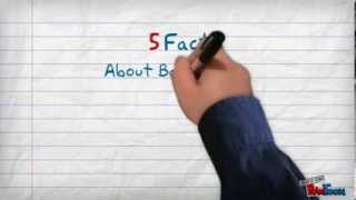 Intro to Backchannel