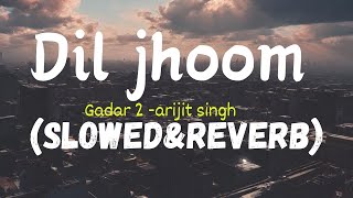 Dil Jhoom (Slowed + Reverb) | Arijit Singh | Gadar 2 | Reverb Luster