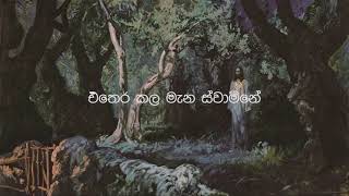 Mal Uyane (එතෙර කල මැන)-Nishitha Tehan(Lyric Video )