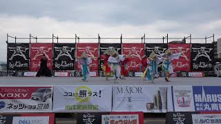 薩摩源氏蛍　「薩祭花」　えれこっちゃみやざき2018 japanese festival yosakoi in miyazaki