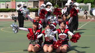 [4K 60p] 第63回 赤羽馬鹿祭り音楽パレード実演会 武蔵野中学高等学校