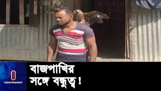 পটুয়াখালীর জেলে কামালের সঙ্গে বাজপাখির বন্ধুত্বে খুশি স্থানীয়রা || Hawk Lover Kamal | Patuakhali