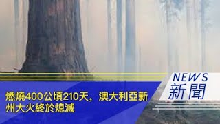 燃烧400公顷210天，澳大利亚新州大火终于熄灭