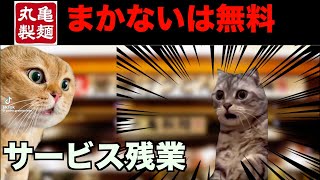 丸亀製麺でバイトしたら想像以上に生き地獄だったお話【猫ミーム】