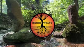 TreeNet Willy’s: Moon Rising Retreat, North Carolina