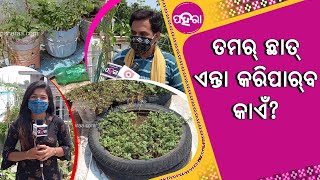 ଅଦରକାରୀ ଜିନିଷ୍ ମାନକୁଁ କେନ୍ତା ଲଗଉଛନ୍ ଗଛ୍