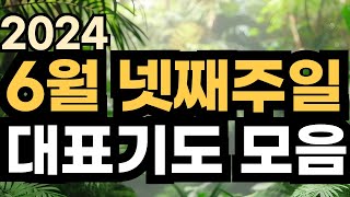 주일예배 대표기도문ㅣ2024년 6월 대표기도 예시ㅣ6월 넷째주 주일예배기도 모음ㅣ6월 4주 대표기도문 모음ㅣ대표기도가 어려운분들을 위한 기도예시문ㅣ주일 예배 대표기도 준비