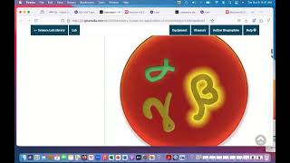 Unknown Bacterium Lab Report Instructions