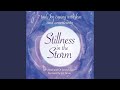 Chapter 1 & Chapter 2 & Chapter 3.1 - Stillness in the Storm