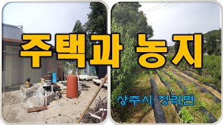 (매물번호 8029)경상북도 상주시 청리면 청상리 주택과 농지. 3필지 570평, 주택은 방2, 주택은 올수리가 필요함. 주택 바로 옆에 농지에는 밭과 둥시감나무 심겨져 있음.