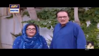 Bulbulay Episode 411 ARY Digital 31 July 2016