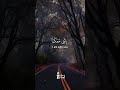 Don't Fear or Stress | Powerful Quran Verse Reminds Us: Allah Is With Us