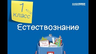 Естествознание. 1 класс. Магнит /19.03.2021/